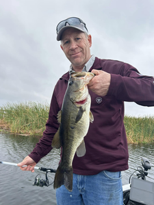 Trophy Bass in Every Cast at Headwaters